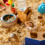 Create a Home Your Small Pet Will Love with Molesey Vets’ Tips